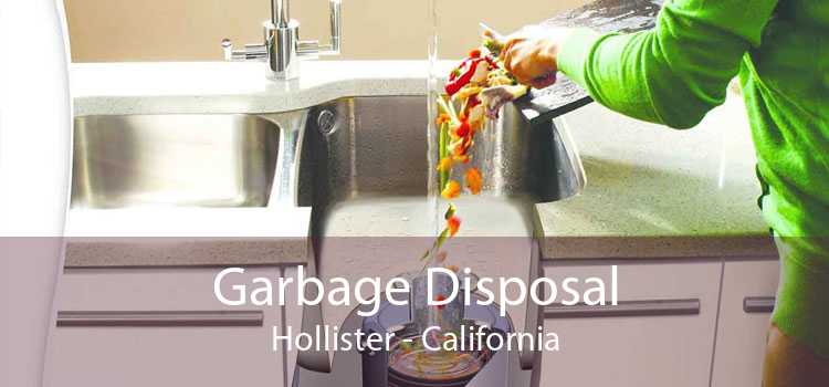Garbage Disposal Hollister - California