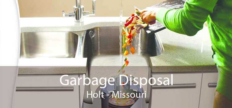 Garbage Disposal Holt - Missouri