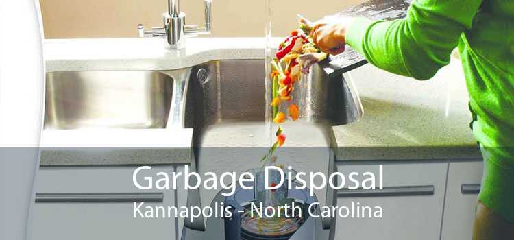 Garbage Disposal Kannapolis - North Carolina
