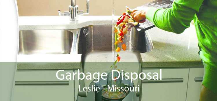 Garbage Disposal Leslie - Missouri