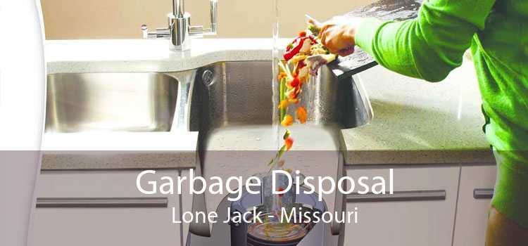 Garbage Disposal Lone Jack - Missouri
