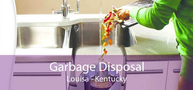 Garbage Disposal Louisa - Kentucky