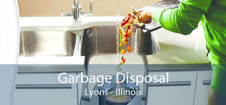 Garbage Disposal Lyons - Illinois