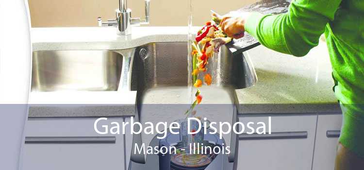 Garbage Disposal Mason - Illinois