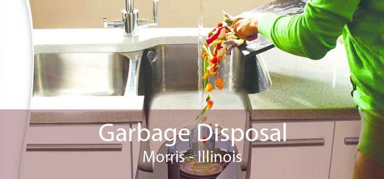 Garbage Disposal Morris - Illinois