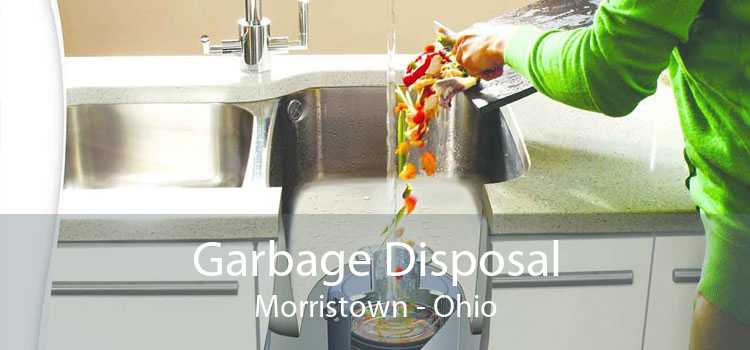 Garbage Disposal Morristown - Ohio