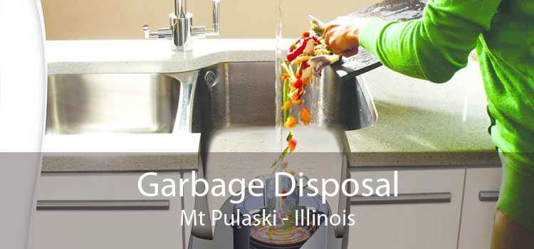 Garbage Disposal Mt Pulaski - Illinois