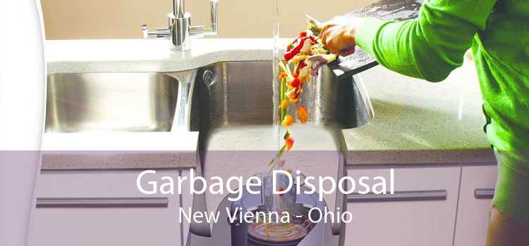 Garbage Disposal New Vienna - Ohio