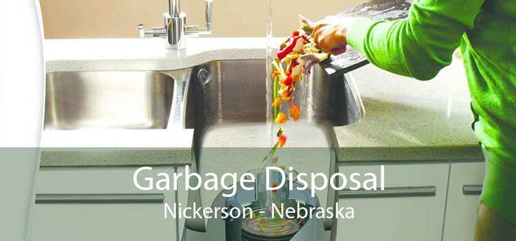 Garbage Disposal Nickerson - Nebraska