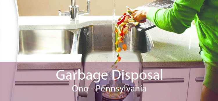Garbage Disposal Ono - Pennsylvania
