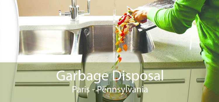 Garbage Disposal Paris - Pennsylvania