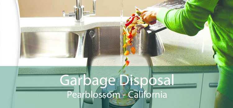 Garbage Disposal Pearblossom - California