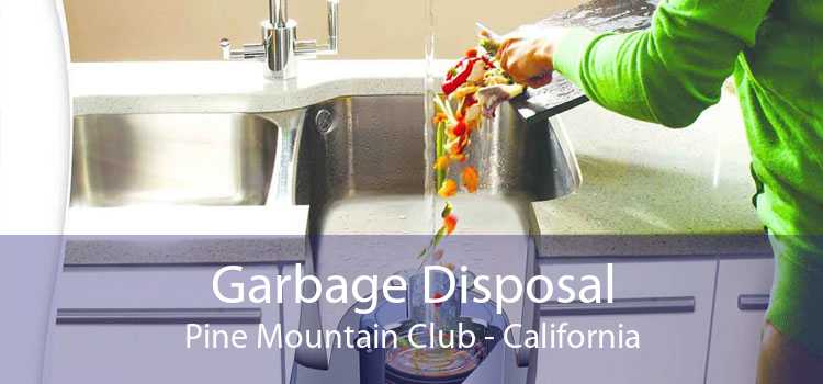 Garbage Disposal Pine Mountain Club - California