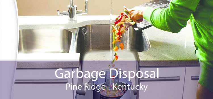 Garbage Disposal Pine Ridge - Kentucky