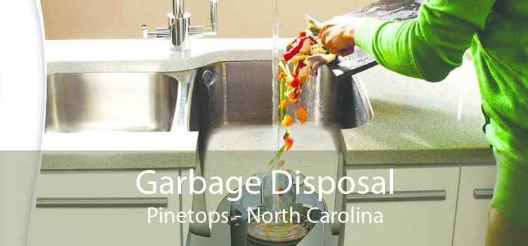Garbage Disposal Pinetops - North Carolina