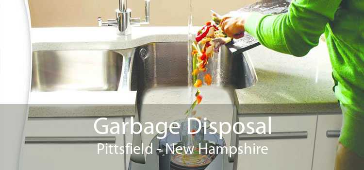 Garbage Disposal Pittsfield - New Hampshire