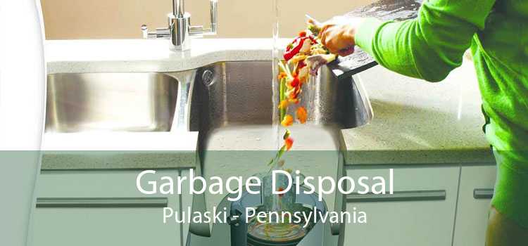 Garbage Disposal Pulaski - Pennsylvania