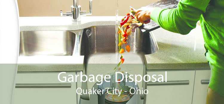 Garbage Disposal Quaker City - Ohio