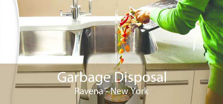 Garbage Disposal Ravena - New York