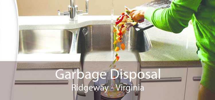 Garbage Disposal Ridgeway - Virginia