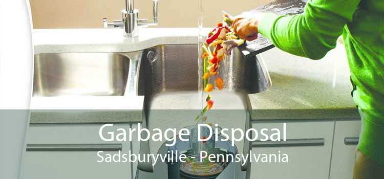 Garbage Disposal Sadsburyville - Pennsylvania