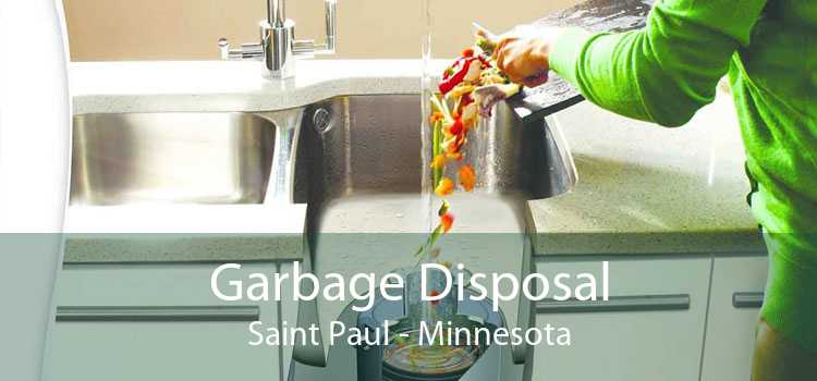 Garbage Disposal Saint Paul - Minnesota