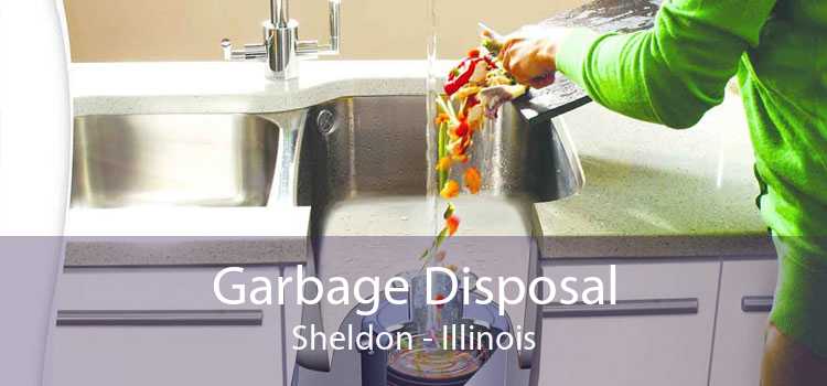 Garbage Disposal Sheldon - Illinois