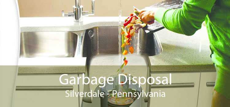 Garbage Disposal Silverdale - Pennsylvania
