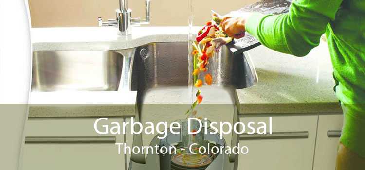 Garbage Disposal Thornton - Colorado