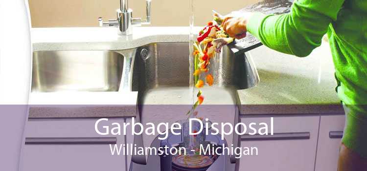 Garbage Disposal Williamston - Michigan