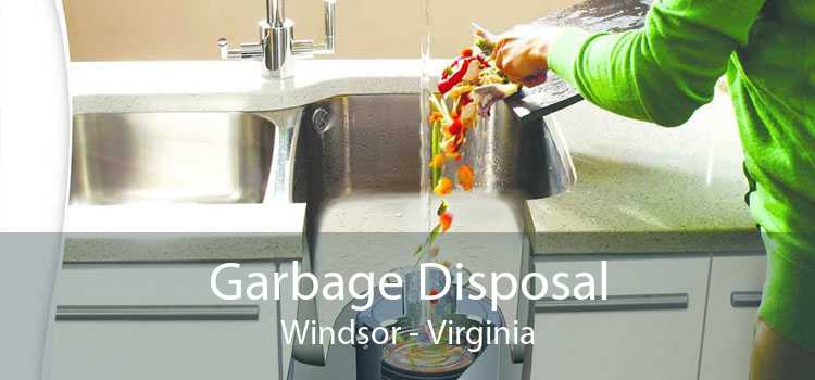 Garbage Disposal Windsor - Virginia