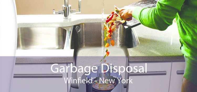 Garbage Disposal Winfield - New York