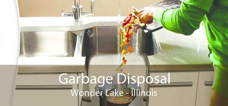 Garbage Disposal Wonder Lake - Illinois