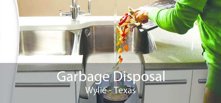 Garbage Disposal Wylie - Texas