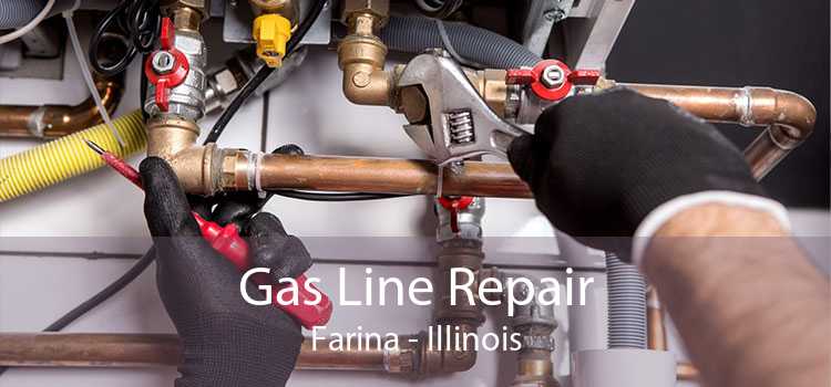 Gas Line Repair Farina - Illinois