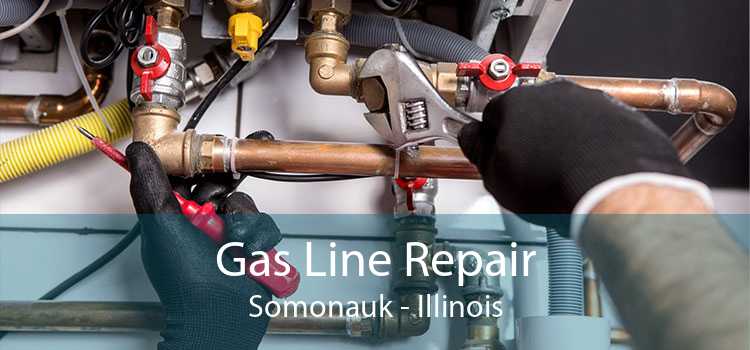 Gas Line Repair Somonauk - Illinois