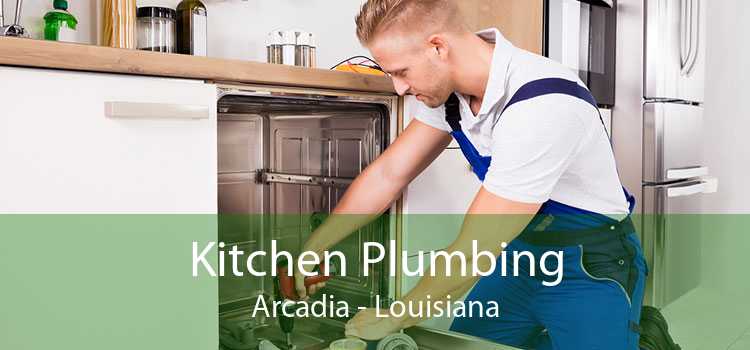 Kitchen Plumbing Arcadia - Louisiana