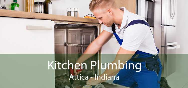 Kitchen Plumbing Attica - Indiana