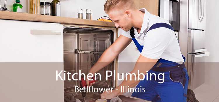 Kitchen Plumbing Bellflower - Illinois