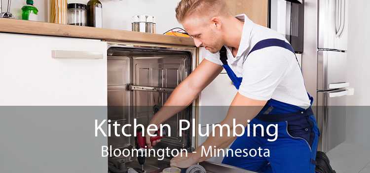 Kitchen Plumbing Bloomington - Minnesota