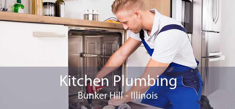 Kitchen Plumbing Bunker Hill - Illinois