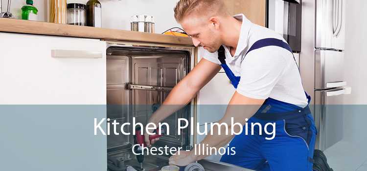 Kitchen Plumbing Chester - Illinois