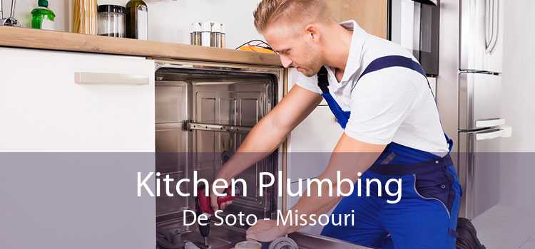 Kitchen Plumbing De Soto - Missouri