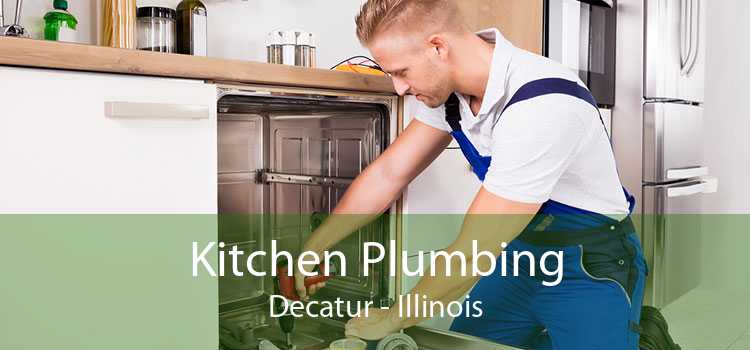 Kitchen Plumbing Decatur - Illinois