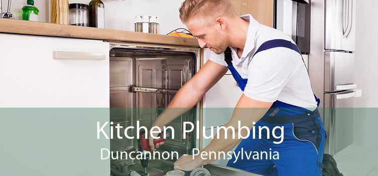 Kitchen Plumbing Duncannon - Pennsylvania