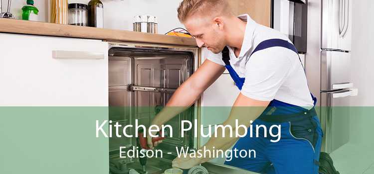 Kitchen Plumbing Edison - Washington
