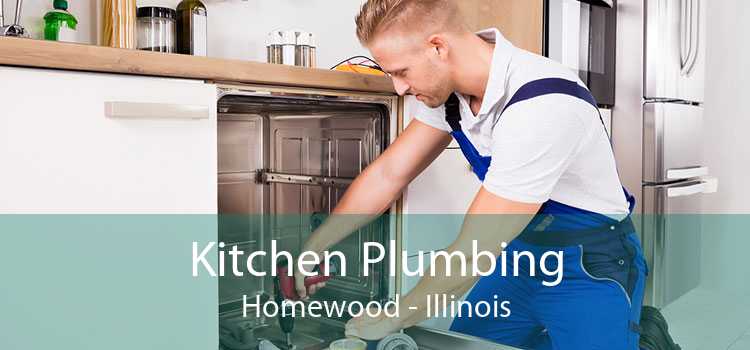 Kitchen Plumbing Homewood - Illinois