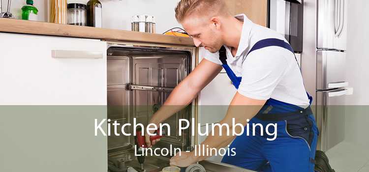 Kitchen Plumbing Lincoln - Illinois