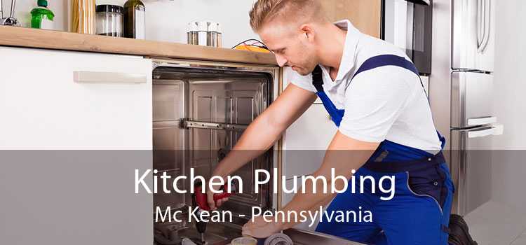 Kitchen Plumbing Mc Kean - Pennsylvania