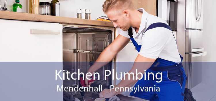 Kitchen Plumbing Mendenhall - Pennsylvania